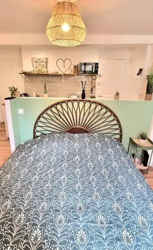 Le Boheme - Hypercentre - Wifi Apartment *